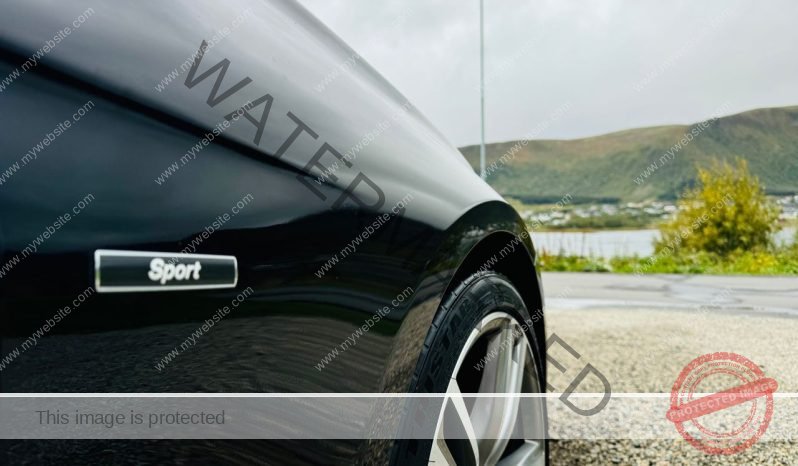 
								BMW Série 3 -316d Touring aut full									