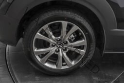 
										Mazda CX-30 2.0 186cv Hybride Cosmo au full									