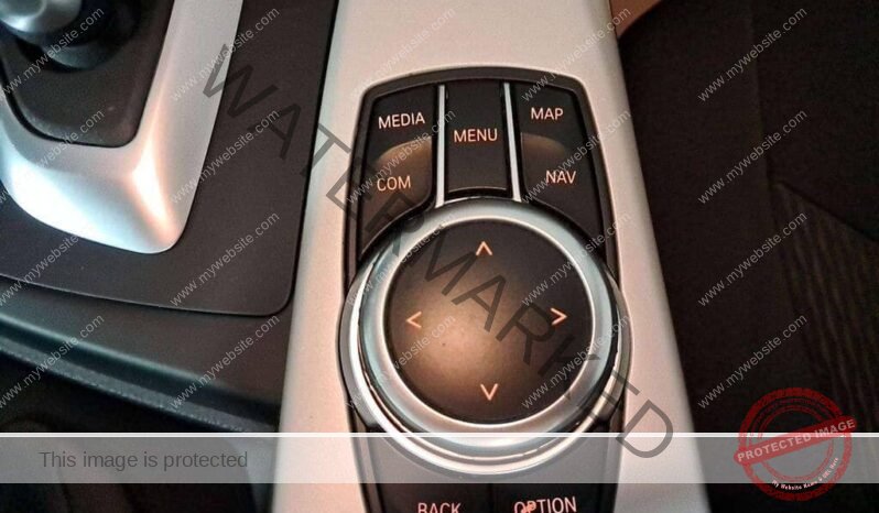 
								BMW Série 318i full									