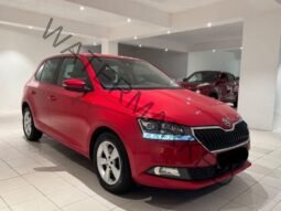 
										Skoda Fabia 1.0 TSI DAB FACELIFT KEYLESS ACC full									