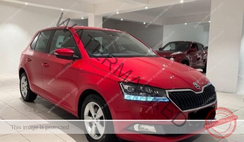 
								Skoda Fabia 1.0 TSI DAB FACELIFT KEYLESS ACC full									