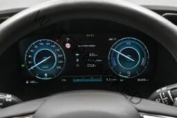 
										Hyundai Santa Fé PREMIUM PHEV 4WD 7 PLACES FIXATION DE REMORQUE SKIN ADAPTIVE CRU full									