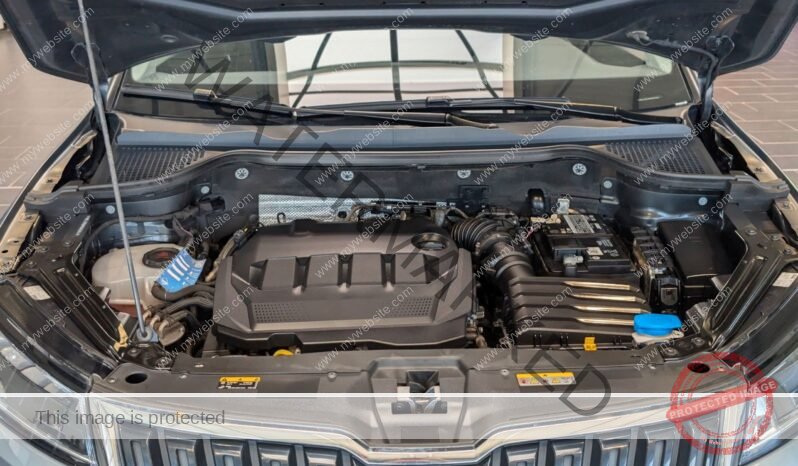 
								Skoda Karoq 2.0 TDI SCR 4×4 DSG full									
