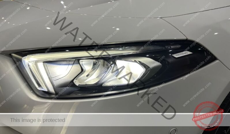 
								Mercedes-Benz Classe A 250 e full									
