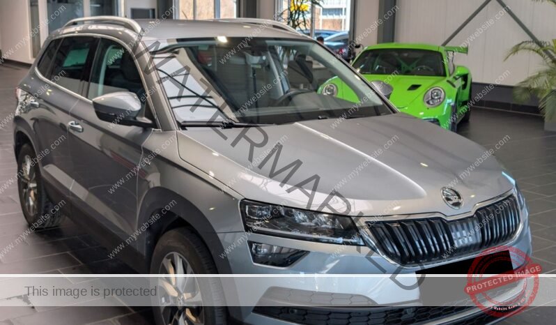 
								Skoda Karoq 2.0 TDI SCR 4×4 DSG full									