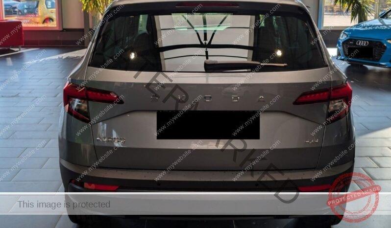
								Skoda Karoq 2.0 TDI SCR 4×4 DSG full									