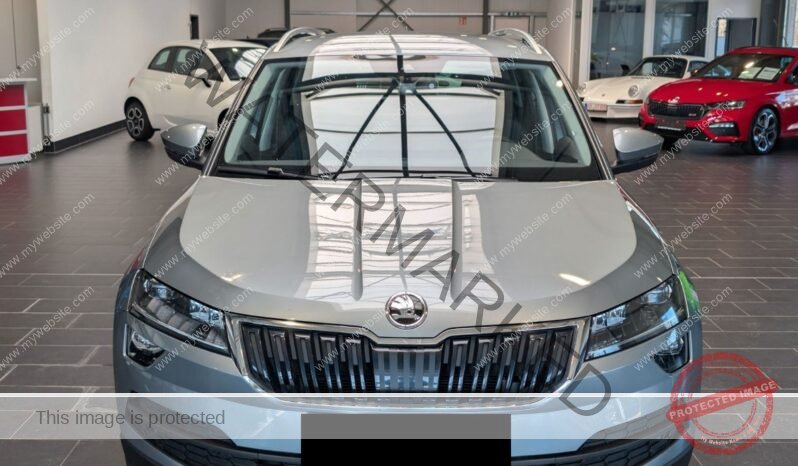 
								Skoda Karoq 2.0 TDI SCR 4×4 DSG full									
